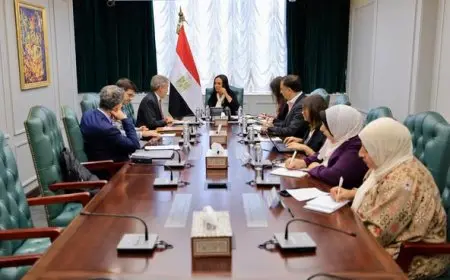 تعزيز التعاون بين وزيرة التضامن وسفير إيطاليا بالقاهرة محور لقاء هام