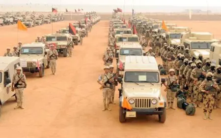مفاجأة غير متوقعة يكشفها أستاذ علوم سياسية بشأن تأثير انتشار الجيش في سيناء