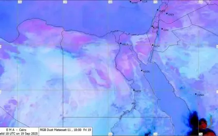تحذير عاجل من الأرصاد: أمطار غزيرة ورياح نشطة تضرب السواحل الشمالية
