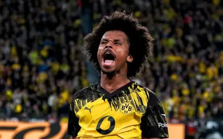 فوز دورتموند على فولفسبورغ وتعثر ليفركوزن أمام مونشنغلادباخ في الدوري الألماني