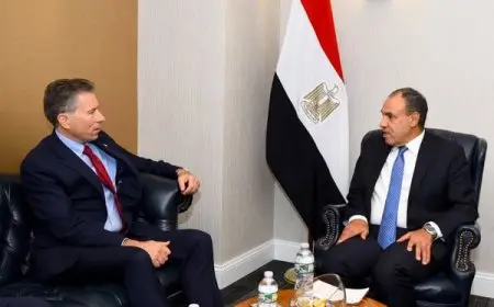 وزير الخارجية يعلن أن مصر تسهم بـ70% من المساعدات لغزة رغم التحديات الإسرائيلية