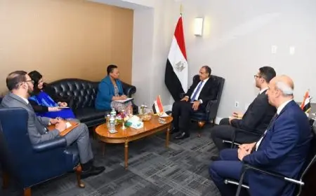 لقاء استراتيجي بين وزير الخارجية والمديرة التنفيذية للآلية الأفريقية لمراجعة النظراء