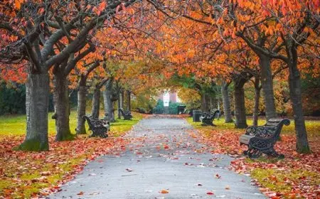 الأرصاد الجوية تعلن اليوم: نهاية فصل الصيف واستقبال الخريف رسميًا استغنوا عن المراوح والتكييفات