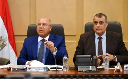 كامل الوزير يعلن التزام الدولة بتوفير كميات الغاز لتشغيل مصانع الأسمدة بكفاءة