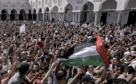 الاعتراف الدولي بفلسطين إنجاز يُحسب لحكمة محمود الهباش والسلطة الفلسطينية