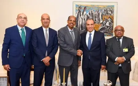 وزير الخارجية يسعى لتعزيز التعاون مع رئيس مفوضية الاتحاد الإفريقي