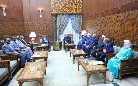 لقاء مهم بين شيخ الأزهر ووزير التعليم العالي السوداني لتعزيز التعاون المشترك