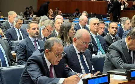 وزير الخارجية يؤكد أن ممارسات إسرائيل ضد الفلسطينيين انتهاك جسيم للقيم الإنسانية