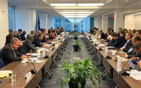 مصر تواصل التزامها بتخفيف المعاناة الإنسانية في السودان بحسب وزير الخارجية