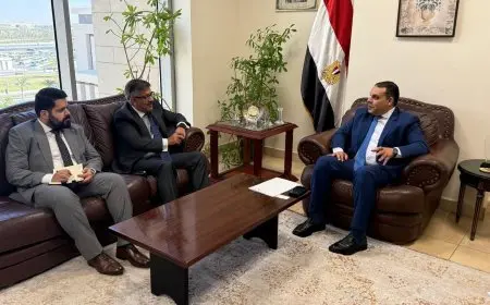 تعزيز التجارة والاستثمار بين مصر وباكستان: لقاء رئيس التمثيل التجاري المصري وسفير باكستان