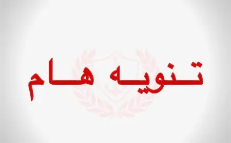 الحكومة تصدر قرارًا حاسمًا بشأن العجول في شوارع بورسعيد: المصادرة أو الإزالة