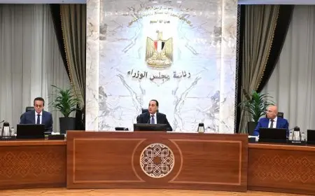 مدبولي: رأي عام عالمي يتشكل لأول مرة ضد اعتداءات إسرائيل في غزة