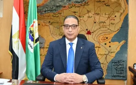 محافظ الفيوم يوقف نائب رئيس المدينة 3 أشهر ويُحيله للتحقيق بالنيابة