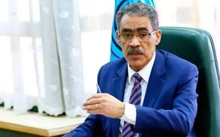 هيئة الاستعلامات تطلق موقعها الجديد للتواصل مع العالم بتسع لغات مختلفة