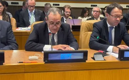 مشاركة وزير الخارجية في اجتماع لجنة التواصل حول فلسطين AHLC تجذب الأنظار