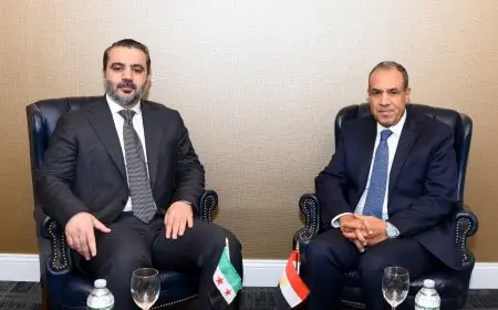 مصر تدعم وحدة سوريا وسيادتها الكاملة وسلامة أراضيها يؤكد وزير الخارجية