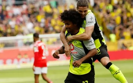 انتصارات دورتموند مستمرة في مطاردة بايرن وليفركوزن يعزز رقمه القياسي