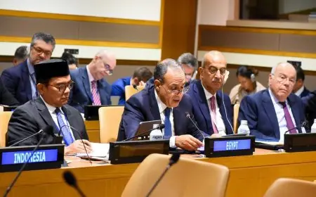 وزير الخارجية يشدد على أهمية التكاتف لتعزيز تمثيل الدول النامية في القرار الاقتصادي العالمي