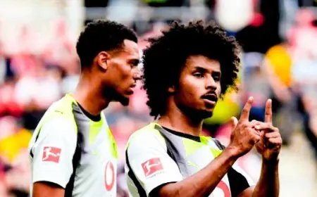 انتصار مثير لبوروسيا دورتموند على ماينز بهدفين في الدوري الألماني