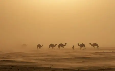 توقعات طقس الإثنين: اضطراب الملاحة في خليج السويس وارتفاع الأمواج إلى 3 أمتار