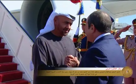 الرئيس السيسي ومحمد بن زايد يناقشان مستجدات الأوضاع الإقليمية في قصر الاتحادية