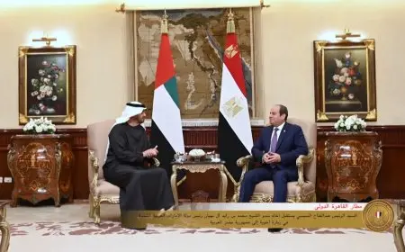 السيسي ومحمد بن زايد يدعمان مبادرة ترامب لوقف الحرب في غزة