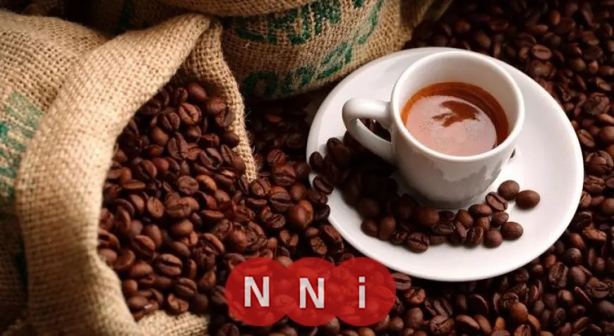 أطعمة ومشروبات طبيعية تقلل من الشهية.. «بعيدًا عن القهوة»