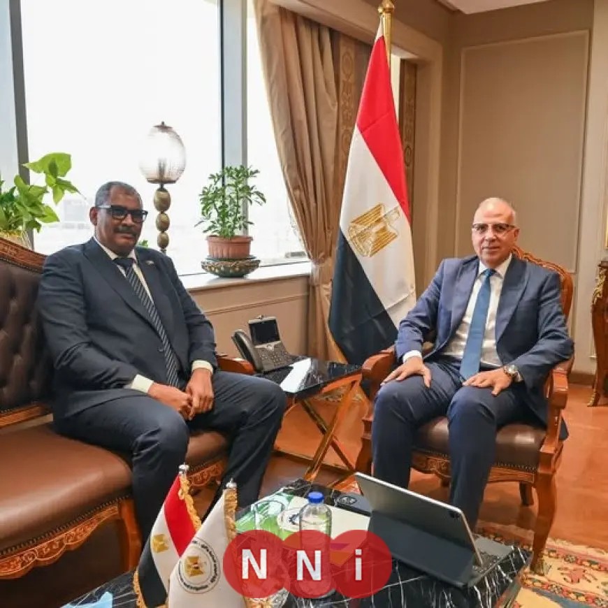 محادثات مصرية-سودانية حول مستجدات سد النهضة الإثيوبي