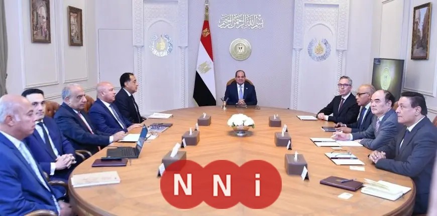 الرئيس السيسي يشدد على تعظيم التعاون مع شركة سكاتك ومجموعة صنجرو لتحقيق فرص أكبر
