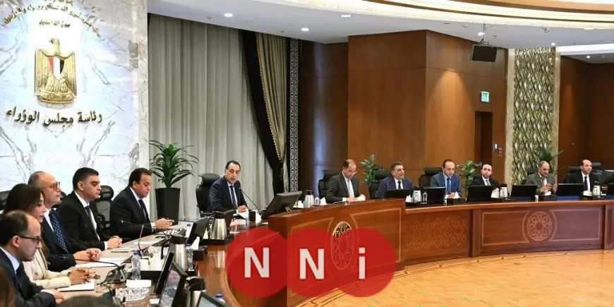 مدبولي يؤكد أهمية توفير التمويل اللازم لهيئة الشراء الموحد لتأمين شراء الأدوية