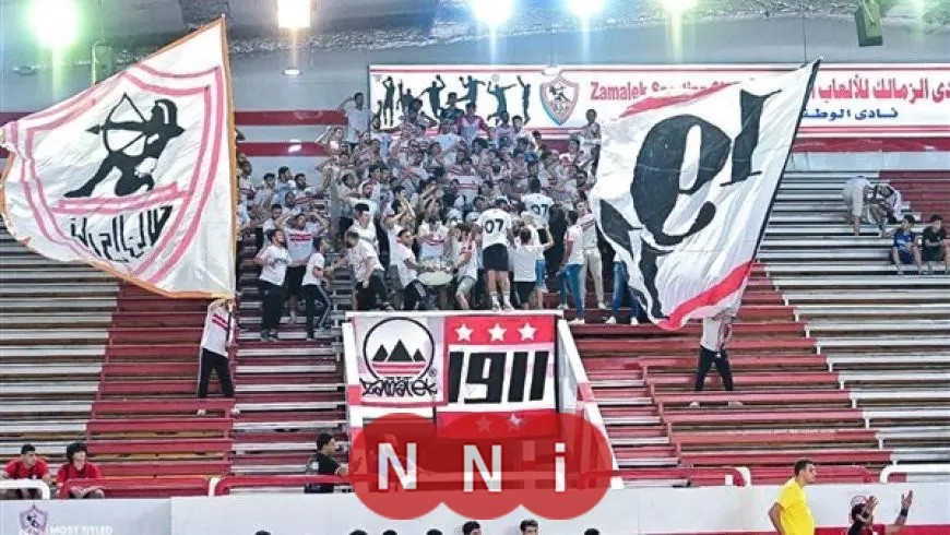شادي طارق يتولى إدارة تعاقدات ألعاب الصالات بنادي الزمالك