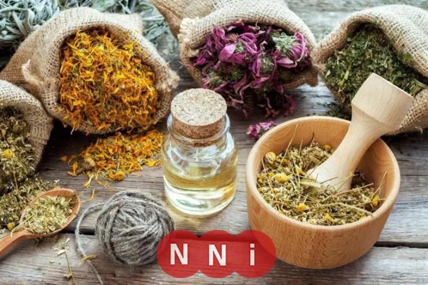 مجدي نزيه يحذر من مخاطر ترندات الأعشاب: اكتشف حقيقة المنتجات الطبيعية وأضرارها المحتملة