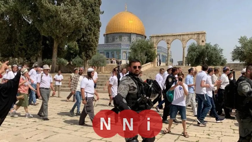 بن جفير يدعو لضم أكبر مساحة ممكنة في غزة وتوسيع الاستيطان