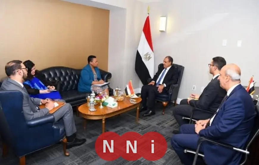 لقاء استراتيجي بين وزير الخارجية والمديرة التنفيذية للآلية الأفريقية لمراجعة النظراء