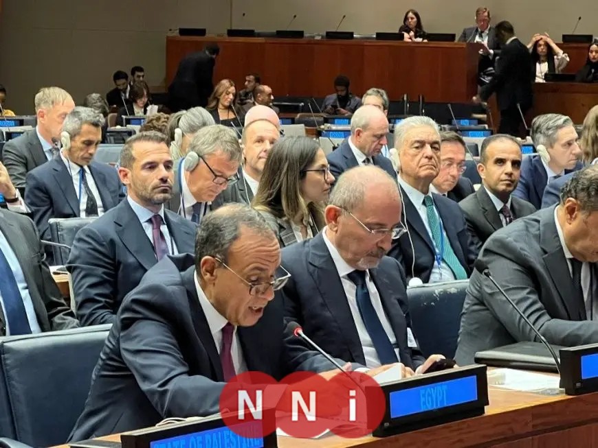 وزير الخارجية يؤكد أن ممارسات إسرائيل ضد الفلسطينيين انتهاك جسيم للقيم الإنسانية