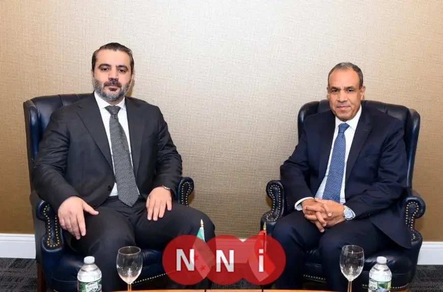مصر تدعم وحدة سوريا وسيادتها الكاملة وسلامة أراضيها يؤكد وزير الخارجية