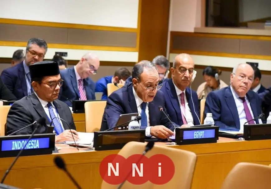 وزير الخارجية يشدد على أهمية التكاتف لتعزيز تمثيل الدول النامية في القرار الاقتصادي العالمي