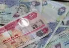تعرف على سعر صرف الدرهم الإماراتي مقابل الجنيه اليوم الخميس 23 أكتوبر 2025
