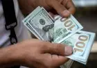 تحليل سعر الدولار مقابل الجنيه ليوم السبت 25 أكتوبر 2025