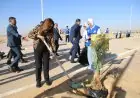 المرحلة الرابعة من المبادرة الرئاسية لزراعة ١٠٠ مليون شجرة تبدأ الآن