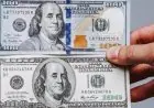 تعرّف على سعر الدولار مقابل الجنيه اليوم الثلاثاء 28 أكتوبر 2025 في البنوك