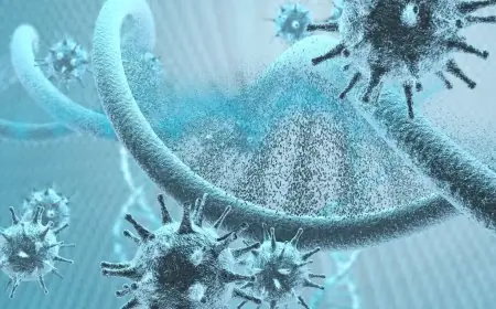 تحديث عاجل من وزارتي الصحة والتعليم حول فيروس اليد والقدم والفم HFMD