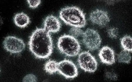 وزارة الصحة تؤكد عدم الحاجة لإغلاق الفصول أو المدارس للحد من انتشار مرض HFMD