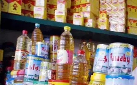 شعبة المواد الغذائية تؤكد وفرة المخزون لتلبية احتياجات المصريين وضيوفهم وتطالب بدعم نقدي مشروط