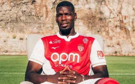 الأسباب التي تعرقل عودة بول بوغبا إلى الملاعب حتى الآن