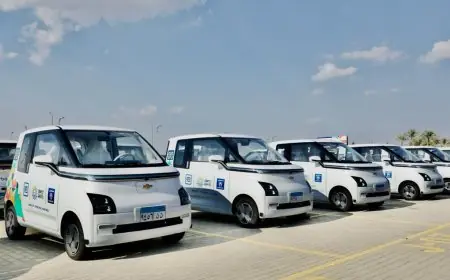 الحكومة المصرية تتجه نحو تعزيز صناعة السيارات الكهربائية محلياً برعاية رئيس الحكومة