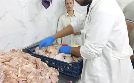 وزارة الزراعة تضبط أكثر من 270 طنًا من اللحوم غير الصالحة وتصدر 981 محضرًا خلال سبتمبر