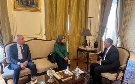 وزير الخارجية يثني على دعم كوبا لترشيح الدكتور خالد العناني لمنصب اليونسكو