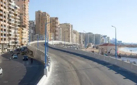 تعرف على تفاصيل الغلق الجزئي لكوبري اللواء عبد السلام محجوب في الإسكندرية لمدة 20 يوما