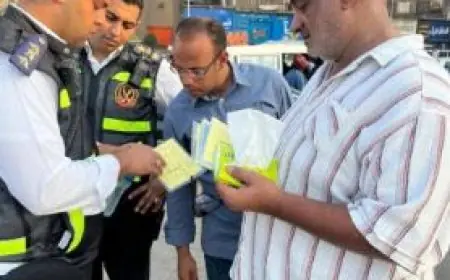 محافظ الجيزة يعلن عن ضبط 347 مخالفة لسائقي السرفيس وحجز 12 سيارة في 46 حملة تفتيشية خلال أسبوع